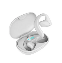 Bluetooth Smart Translation Earbuds